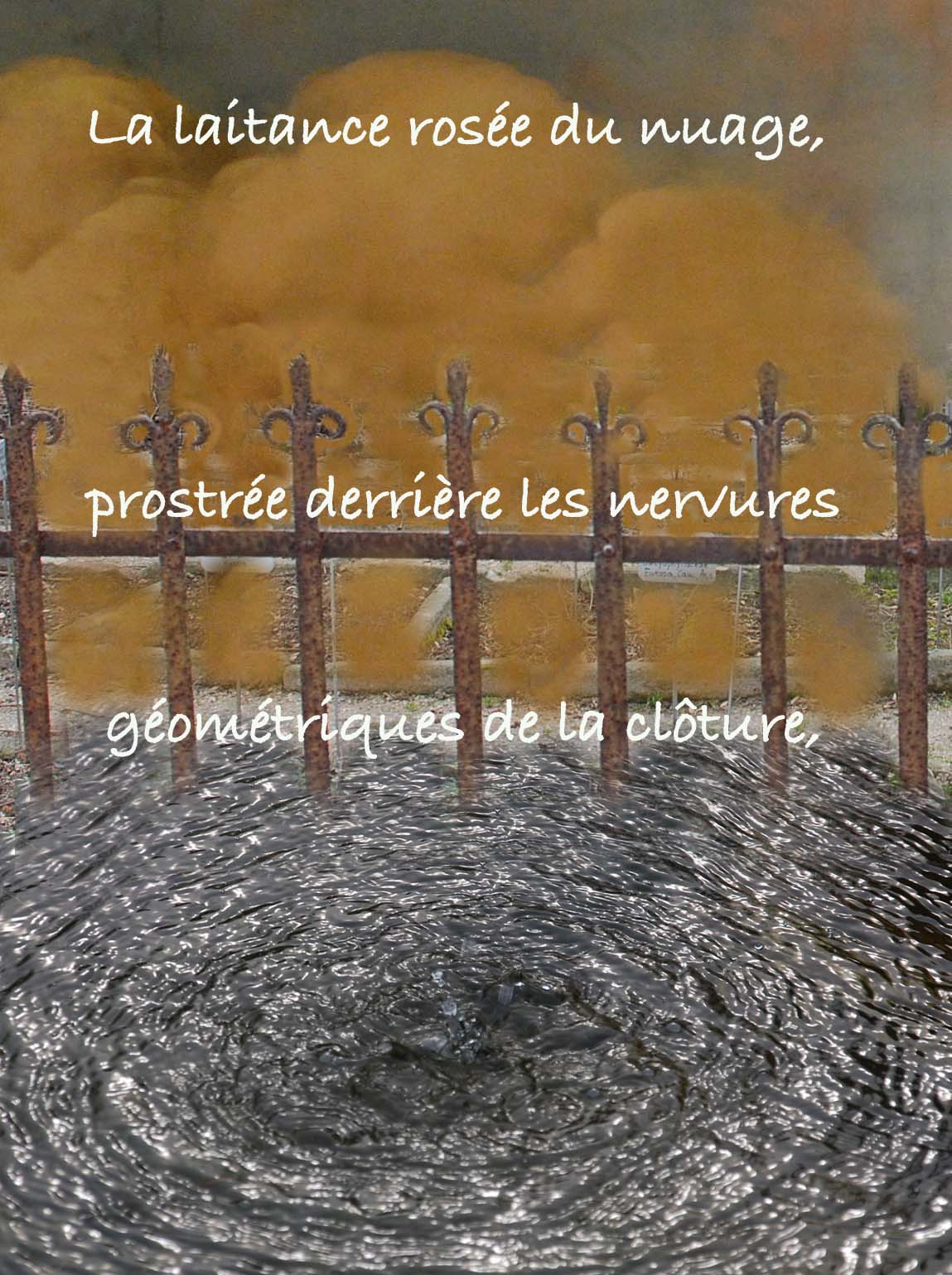 phrase sur les rencontres de la vie
