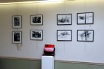 Vue de l'exposition.Photographies de Marcel Delory FR, dessins de Laurent Nemeghaire BE, Installation de Roberte Capillon FR. {JPEG}