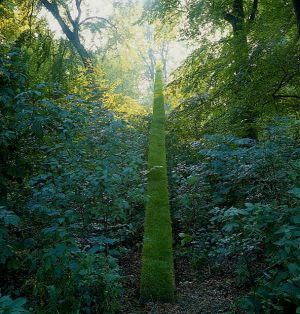 NILS-UDO - Le chemin, plan de gazon sur tronc d'épicea 1984 - Haarlem, Hollande - 2/12 - Ilfochrome marouflé sur aluminium - 100 x 100 cm - 39 3/8 x 39 3/8 in - (GB 01357)